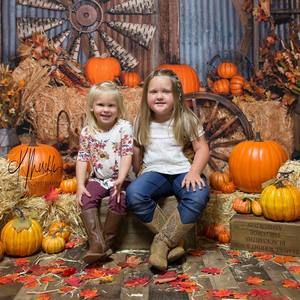 Meet your Posher, Rocky